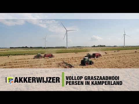 Volop graszaadhooi persen in Kamperland