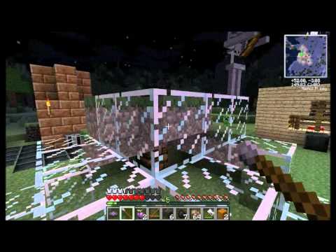 Tera Firma with Azor - 4