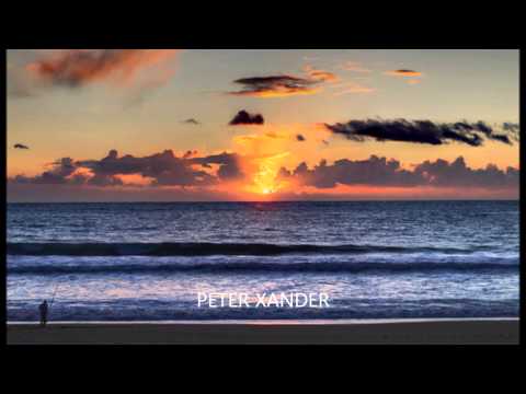 Peter Xander - Waves Covered By Sun