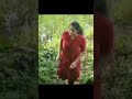 Aunty Walk