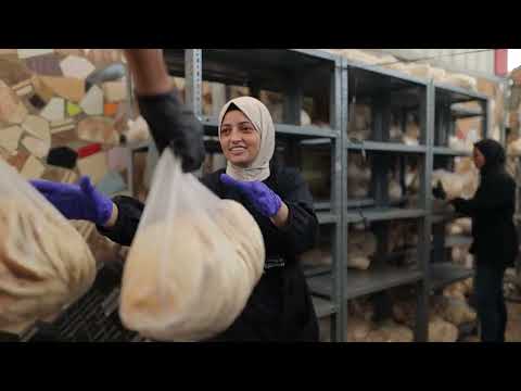 WCK Partners with Ahmed's Bakery in Southern Gaza to Provide 23,000 Loaves of Fresh Bread