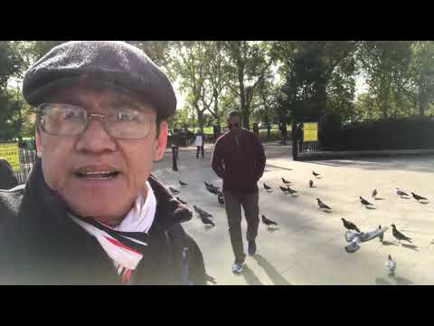Do Not Feed Pigeons At Park, Its Poo Is Dangerous To Any Person's health! Part 9 of 13