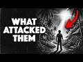 The Colares UFO Incident Brazil S Most Terrifying Close Encounters