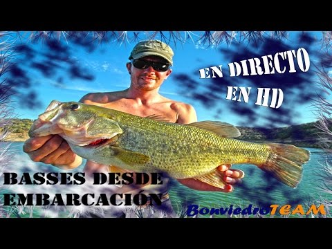 PESCA de BLACK BASS HD en DIRECTO desde embarcación #1 | LARGEMOUTH BASS FISHING