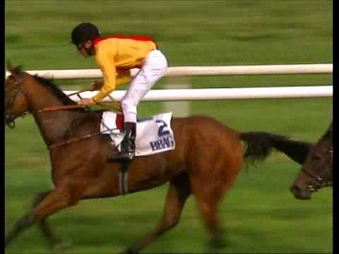 Galopprennbahn Dresden - 11.08.2012 - 6 Rennen