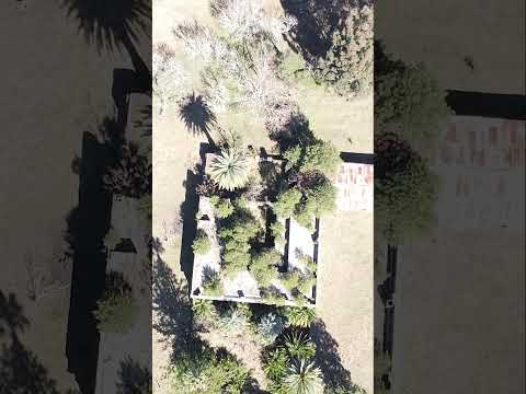 Sombras, polvo y recuerdos perdidos.