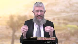 מסכת מנחות דף קה - 8 דקות של לומדות ועמקות בדרך הלימוד הישיבתית [Menachot 105]