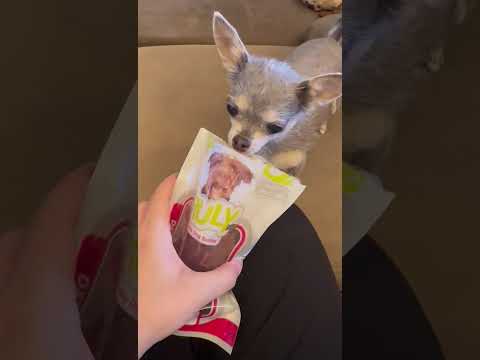 Petiscos Truly para Cães | Naturais, Saudáveis e Saborosos