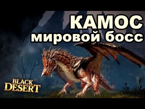 Око акиллу бдо
