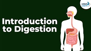 Introduction to Digestion | Digestion and Absorption | Don't Memorise