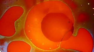 Over you #44 100 Covers Lou Reed &amp; Velvet Underground