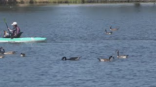Lodi Lake raising fees for parking, beach access, and rentals