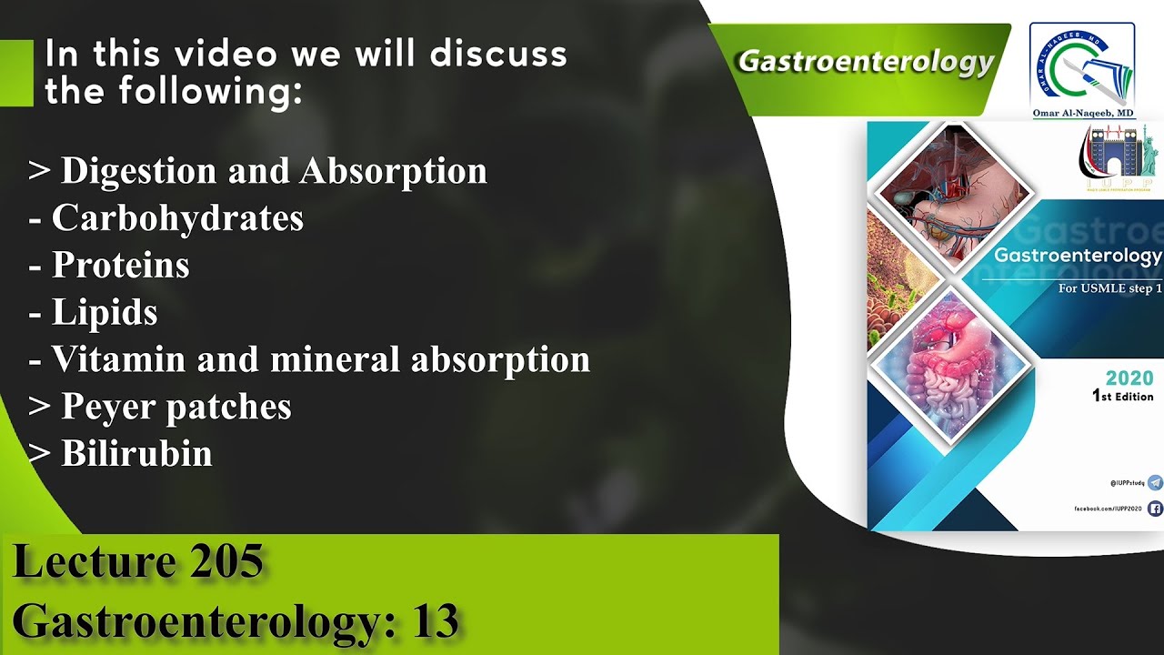 Digestion and Absorption of Carbohydrates, Proteins, Lipids, Vitamin and mineral | Bilirubin