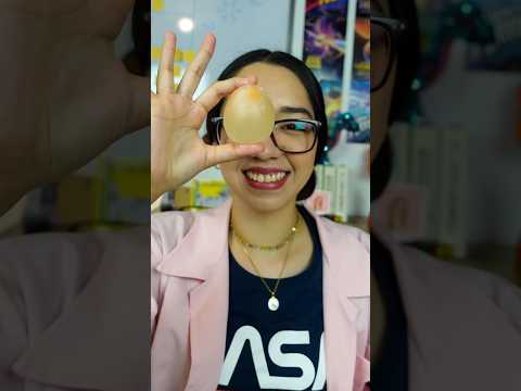 Bouncing Egg - Homemade Experiments