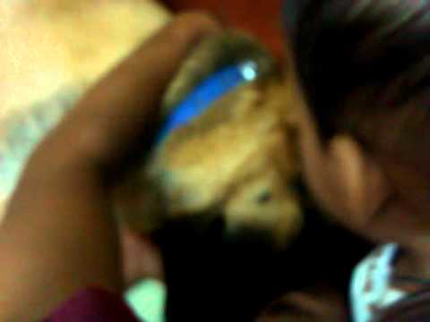 DhurvWithDadNRocky.mp4