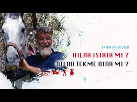 , title : 'Atlar Isırır Mı ? Tekme Atar Mı ? | Ertan Erkekoğlu'
