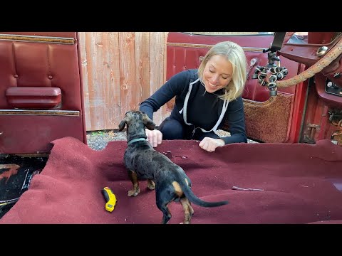 "Is She Ready for the Red Carpet?" Jennifer Sugint NNKH