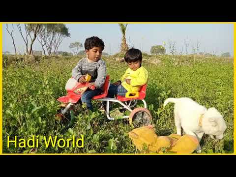 Hadi playing with cute baby dog||HadiWorld