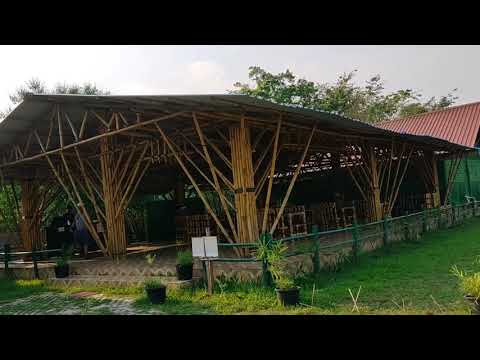Nazira River Breeze Resort 🤗|| Short Video ||Marry Gogoi