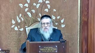 הרה"ג הרב וועכטר שליט"א כ' חשון תשפ"ה - ליקוטי שיחות חלק כ"ג שבועות ב' חלק ה' (הרב אברהם מנחם מענדל וכטר) - התמונה מוצגת ישירות מתוך אתר האינטרנט יוטיוב. זכויות היוצרים בתמונה שייכות ליוצרה. קישור קרדיט למקור התוכן נמצא בתוך דף הסרטון