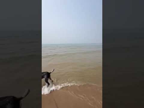 park beach