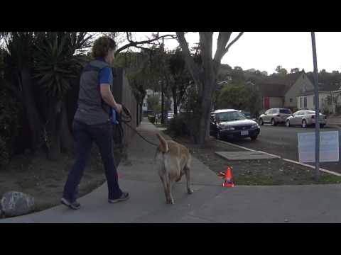 Tucker NW260 Vehicle / Exterior Baseline