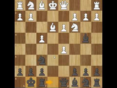 John William Schulten vs Paul Morphy