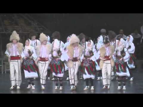 ANIP "Taurunum" Zemun- DUBOČKE KRALJICE