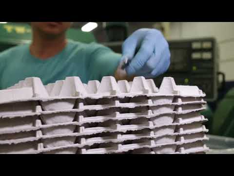 High Tech Machinists, Inc