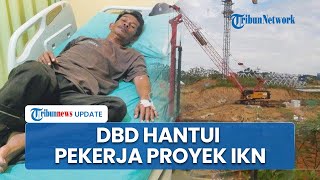 Para Pekerja IKN Terjangkit DBD di Kaltim, Pihak Otorita Terapkan Langkah-langkah Pencegahan