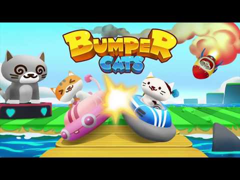 Bumper Cats Video
