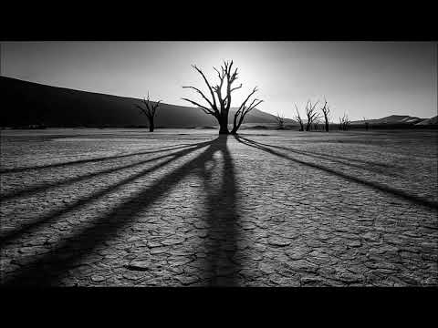 vansam shadow of the desert [ozgur ozkan remix]