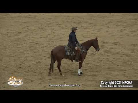 CD Dee Vee Dee Becomes Third-Leading Cow Horse of All Time