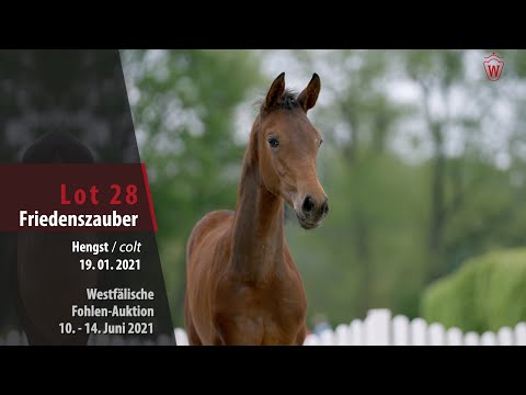 Westfälische Fohlen-Auktion Lot 28 Friedenszauber Hengst v. Franziskus - Laudabilis