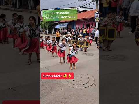 Desfile Playa Vicente, Veracruz #shorts #bailable #tradiciones #Veracruz #playavicente #tonyfavela
