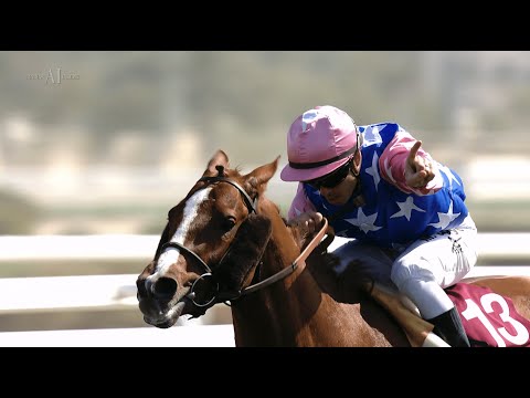 🏇 AMIR SWORD 2022 - Focus on SAMLLA