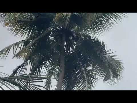  313920 Sq.ft. Agricultural/Farm Land for Sale in Srivilliputhur, Virudhunagar