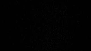 Wedding Dress by Derek Webb