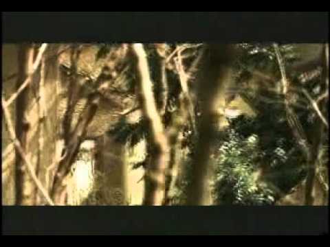 Eddie Dee   Censurarme2