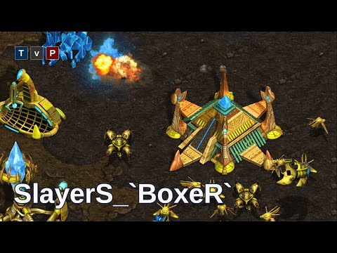 Cuando SlayerS_`BoxeR` (T) no te deja hacer nada! - Starcraft remastered