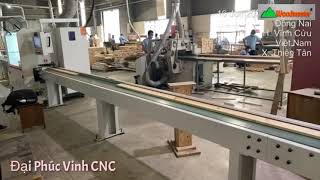 Máy cắt phôi tự động WM-S260 công nghệ hiện đại nhất năm 2021