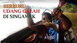 preview picture of video 'Berburu Udang Galah di Singawek'