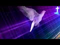 Holy Spirit In Body Form Like A Dove Video Background Loop