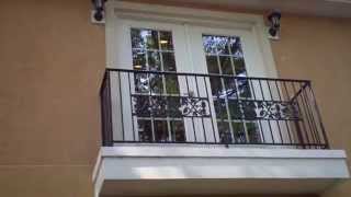 Charlie the cat, James River Cellars and garden