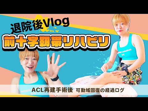 【前十字靭帯再建】術後リハビリと可動域回復の経過ログ
