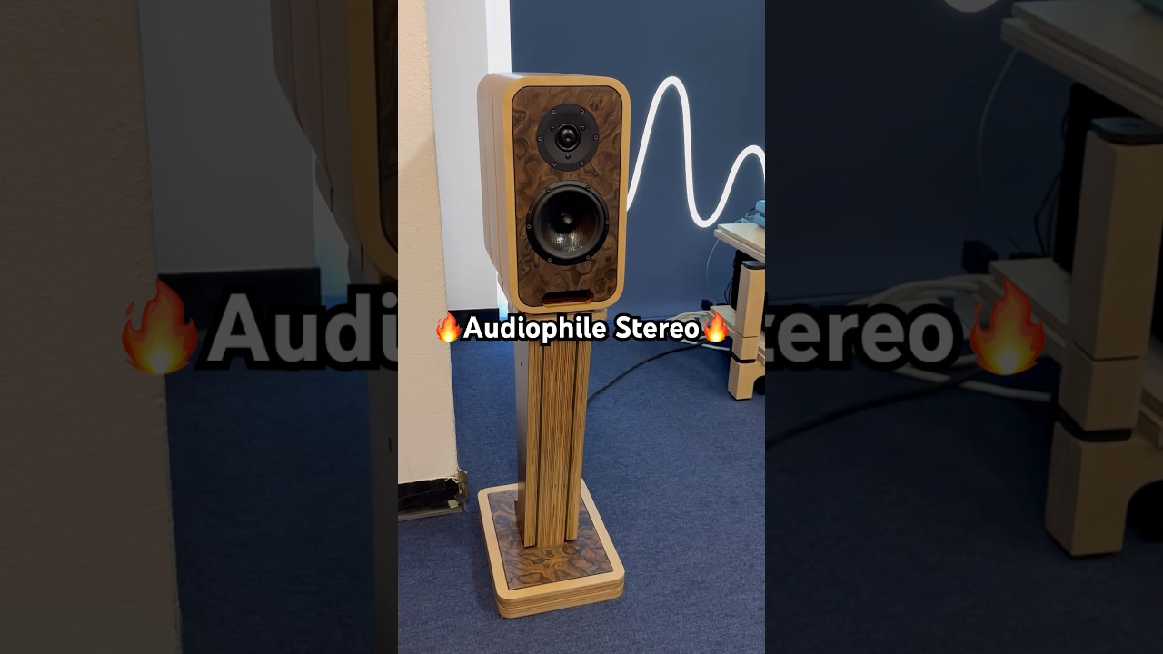 Audiophile HiFi HiEnd Stereo System ❤️ #highend #speakers #audio #sound #setup