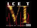 Ice T ‎– Pimp Anthem (instrumental loop)