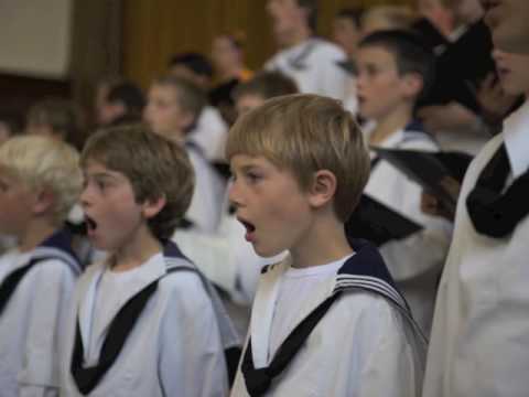 Vivaldi - Gloria - VII: Domine, fili unigenite - Haags Matrozenkoor