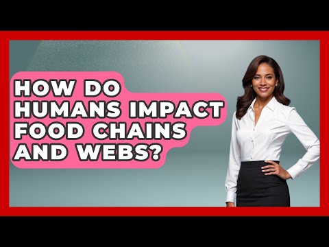 How Do Humans Impact Food Chains And Webs? - Explaining Ecology