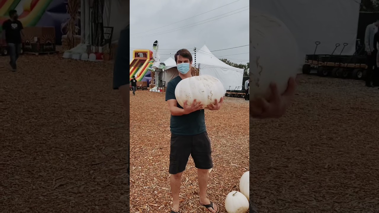 Epic Pumpkin Patch | Halloween Date Idea